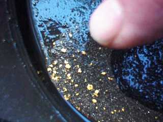 Real gold in the pan from the Tuolumne River